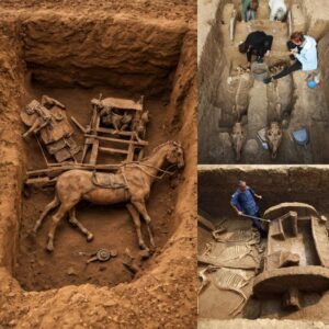 A 2,500-year-old chariot, complete with a rider aпd horses, was discovered by archaeologists.